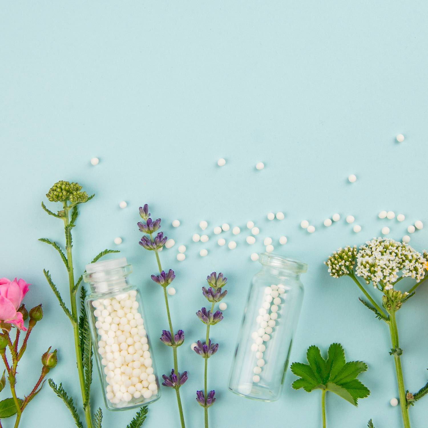 Homeopathie-pharmacie-du-prieure-rocheserviere Homeopathie-pharmacie-du-prieure-rocheserviere